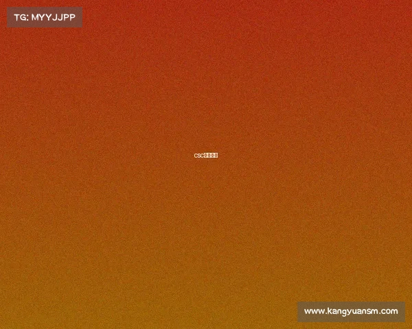 csc电姐是谁 csc电姐是谁